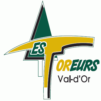 val-d or foreurs 2011-pres primary logo iron on transfers for T-shirts